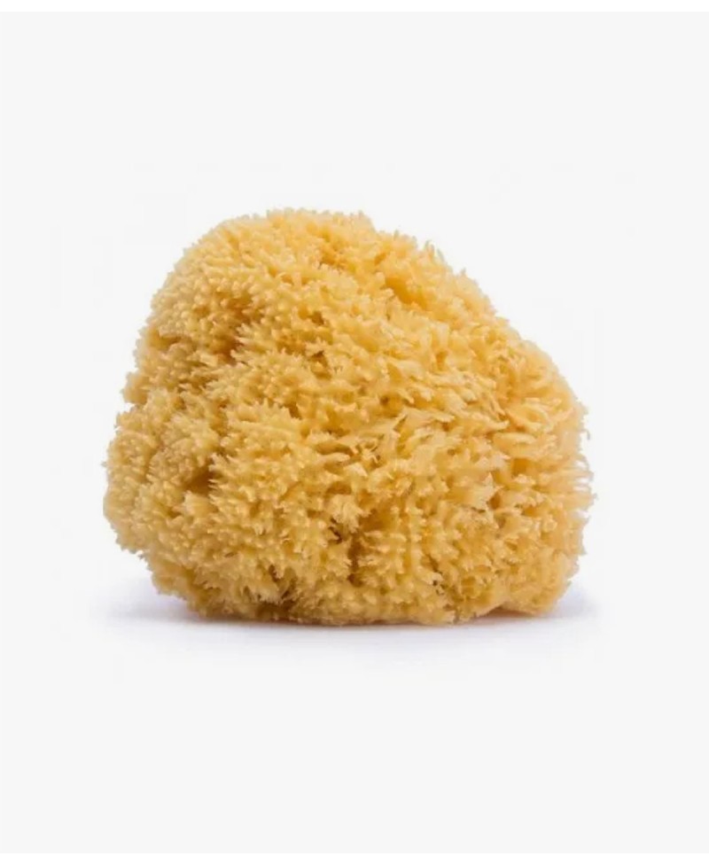 SUAVINEX ESPONJA  NATURAL